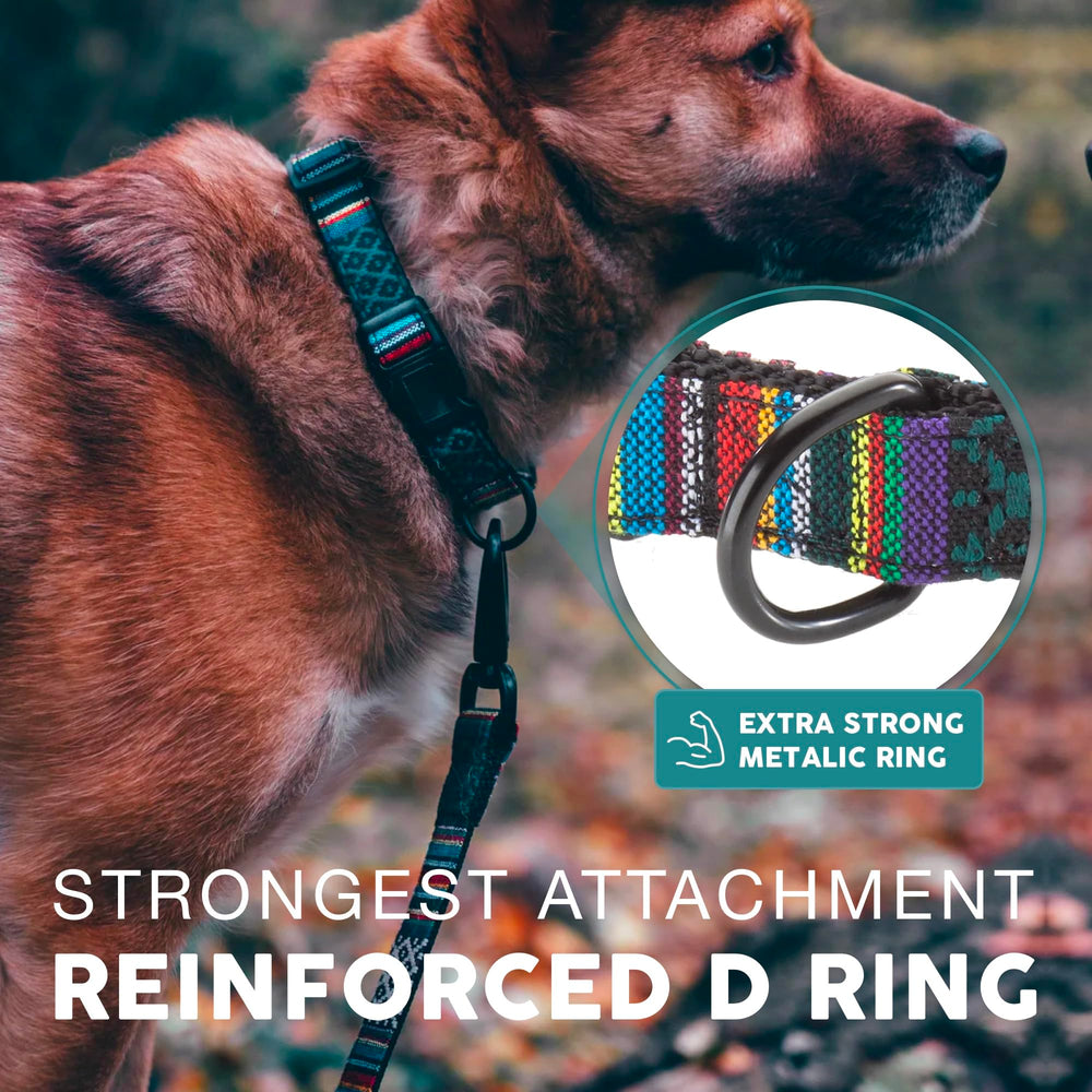 Embark Pets Adventure Dog Collar rugged pull strength close-up suitable for active dogs.