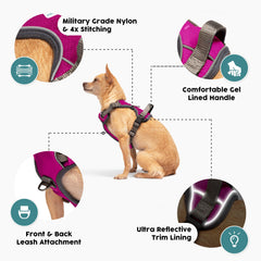 Embark Pets Adventure Harness back view highlights dual leash clips and rugged construction