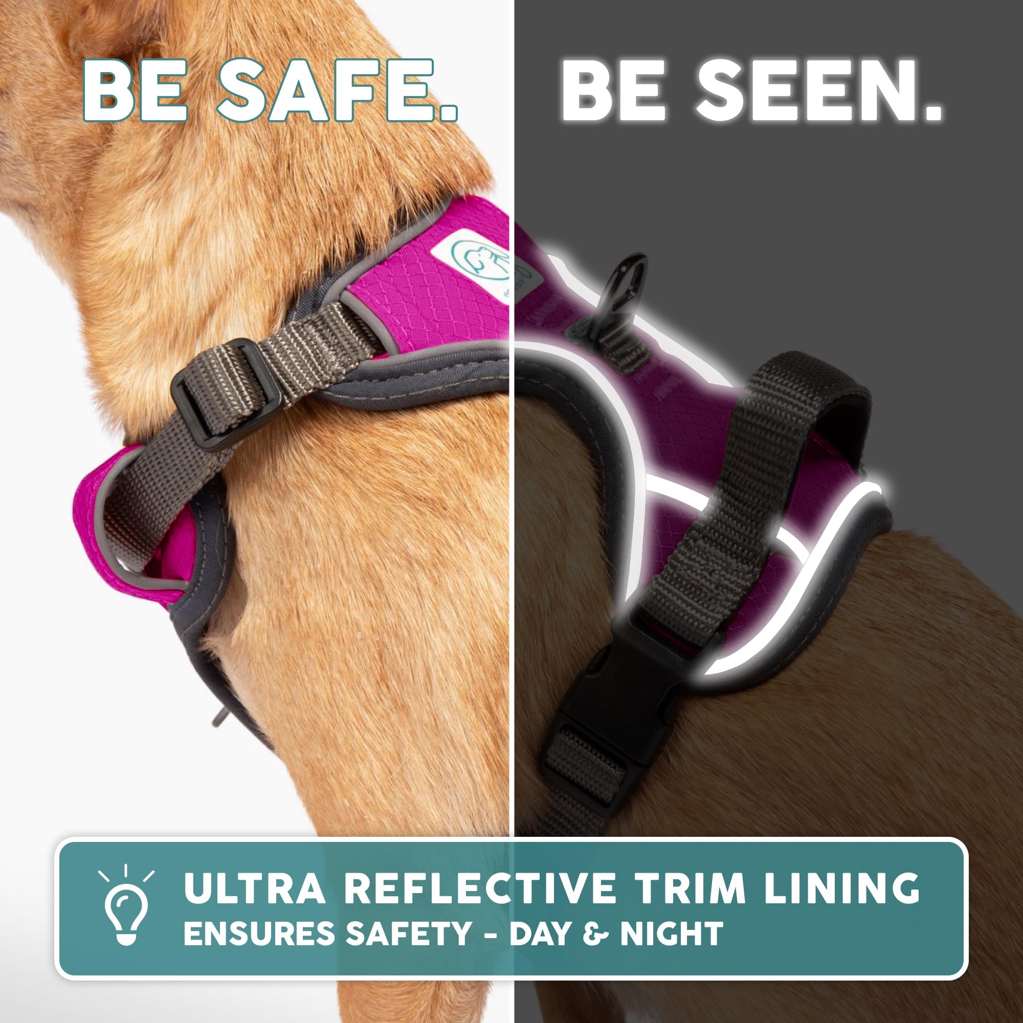 Embark Pets Adventure Harness front clips illustrate no-pull training support