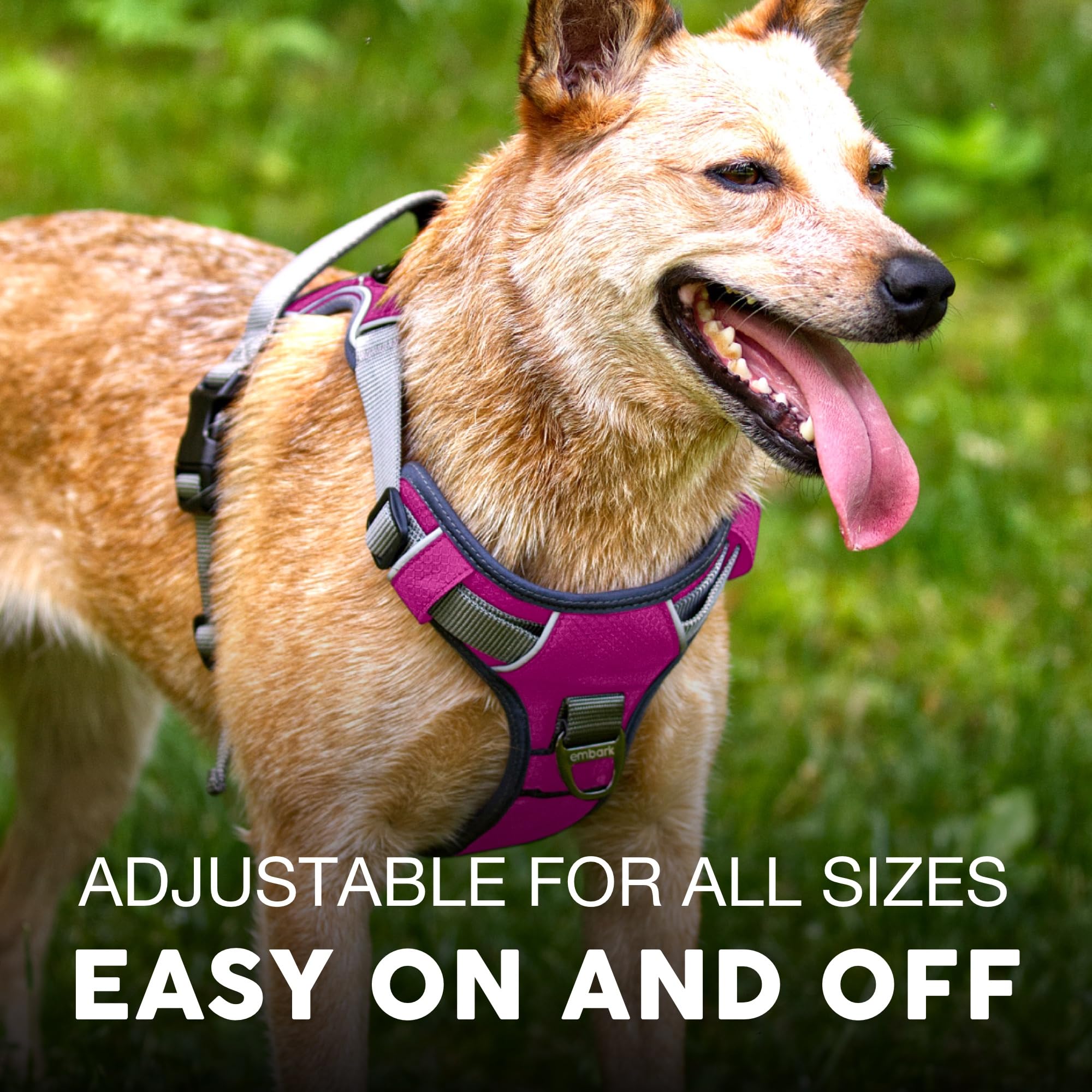 Embark Pets Adventure Harness gel handle provides a comfortable grip for safer control