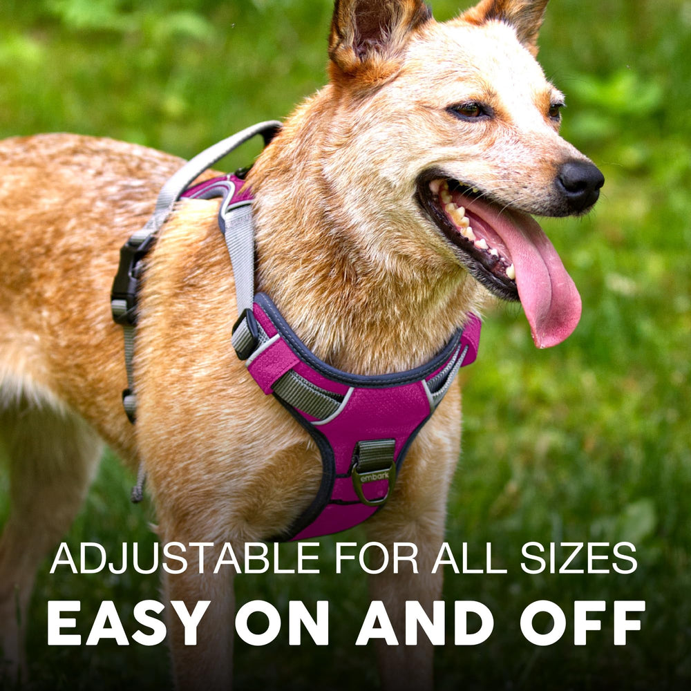 Embark Pets Adventure Harness gel handle provides a comfortable grip for safer control