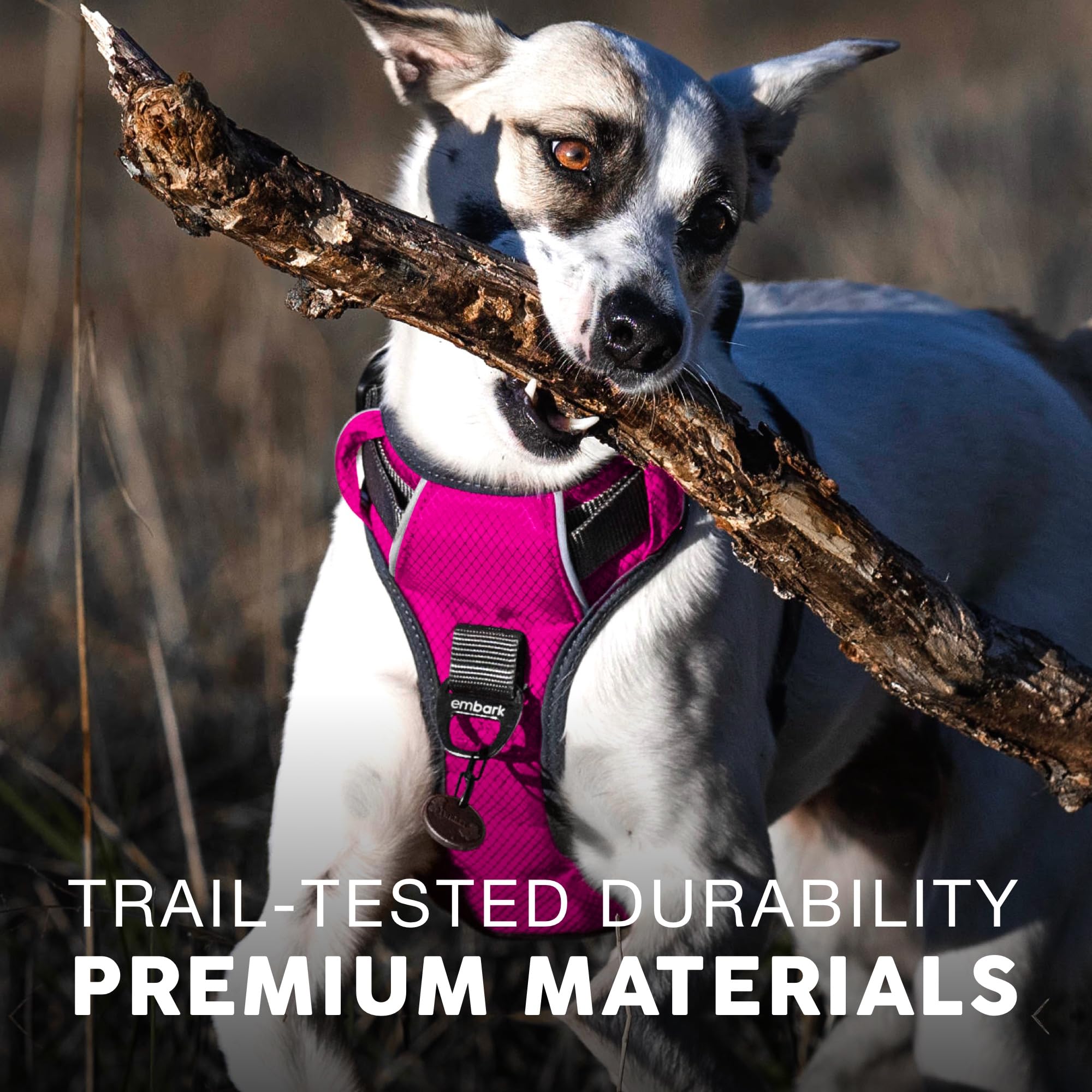Embark Pets Adventure Harness reflective trim boosts visibility day and night