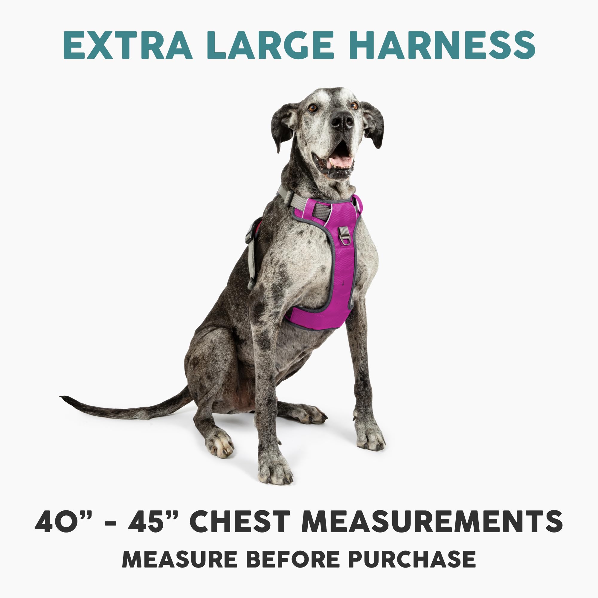 Embark Pets Adventure Harness side adjustment demonstrates customizable fit for XL dogs