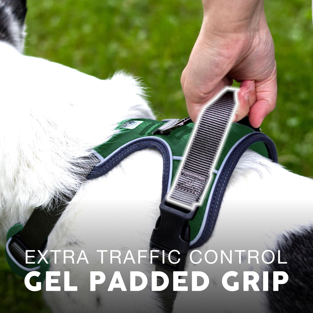 Embark Pets Adventure harness back leash attachment supports versatile leash options.