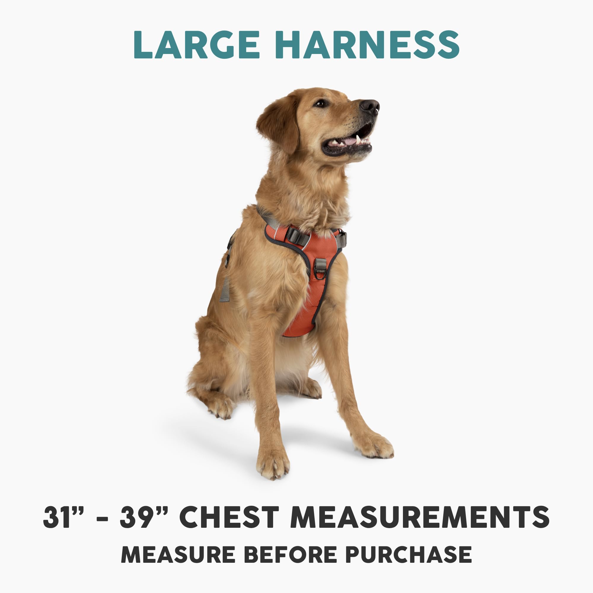 Embark Pets Adventure Harness back clip closeup reveals versatile leash options for daily walks.