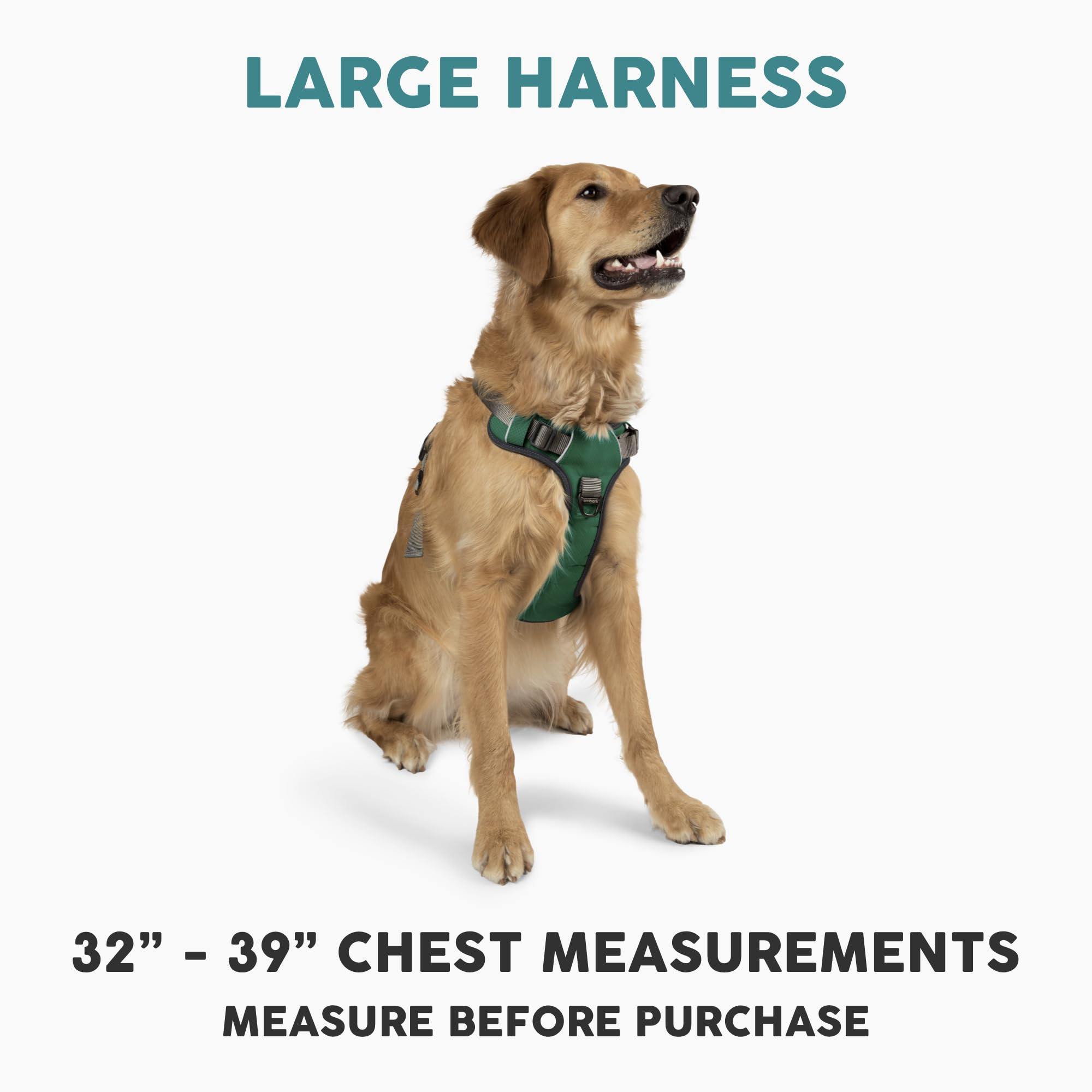 Embark Pets Adventure harness front clip demonstrates no-pull control during walks.