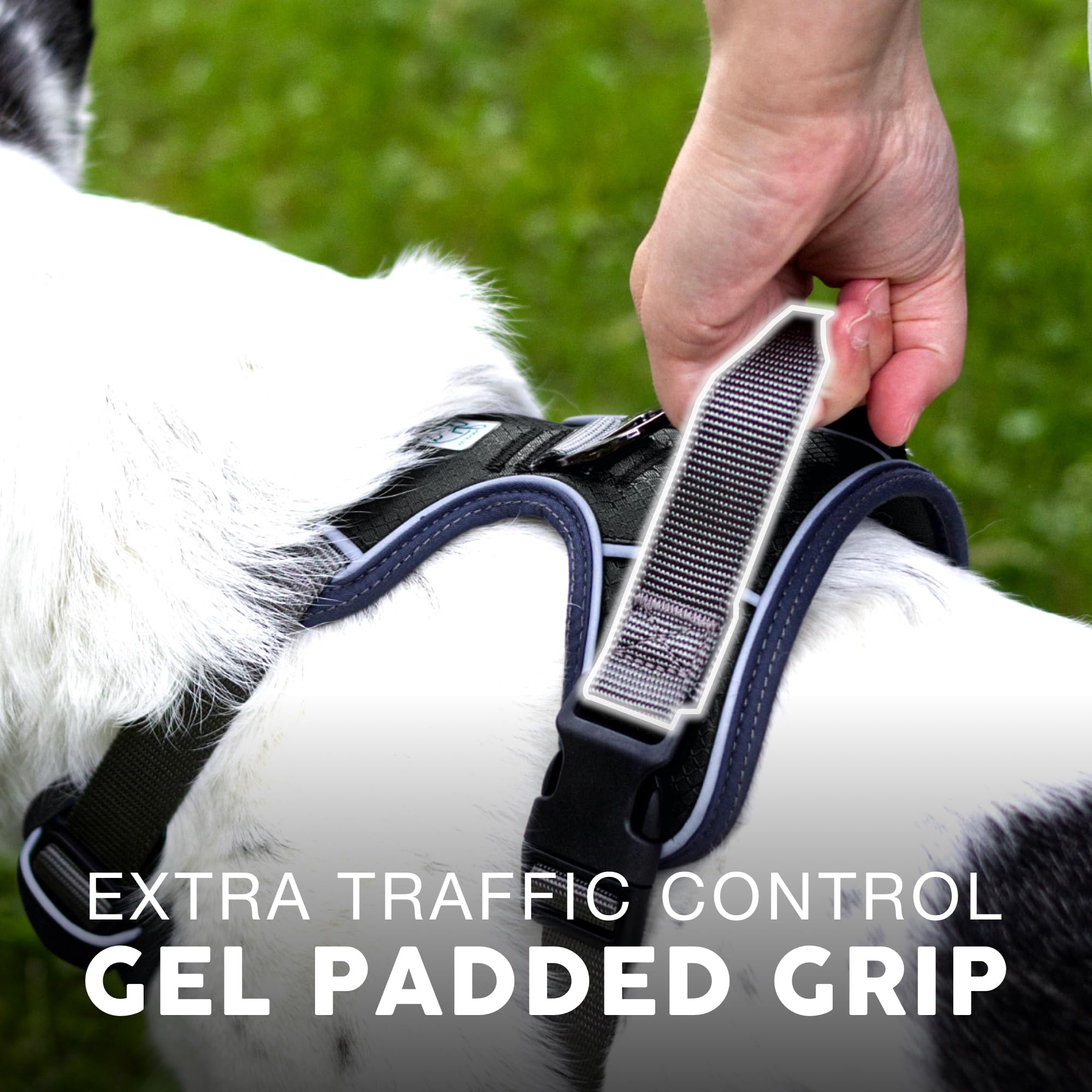 Embark Pets Adventure Harness front clip helps guide a dog's movement for more controlled walks.