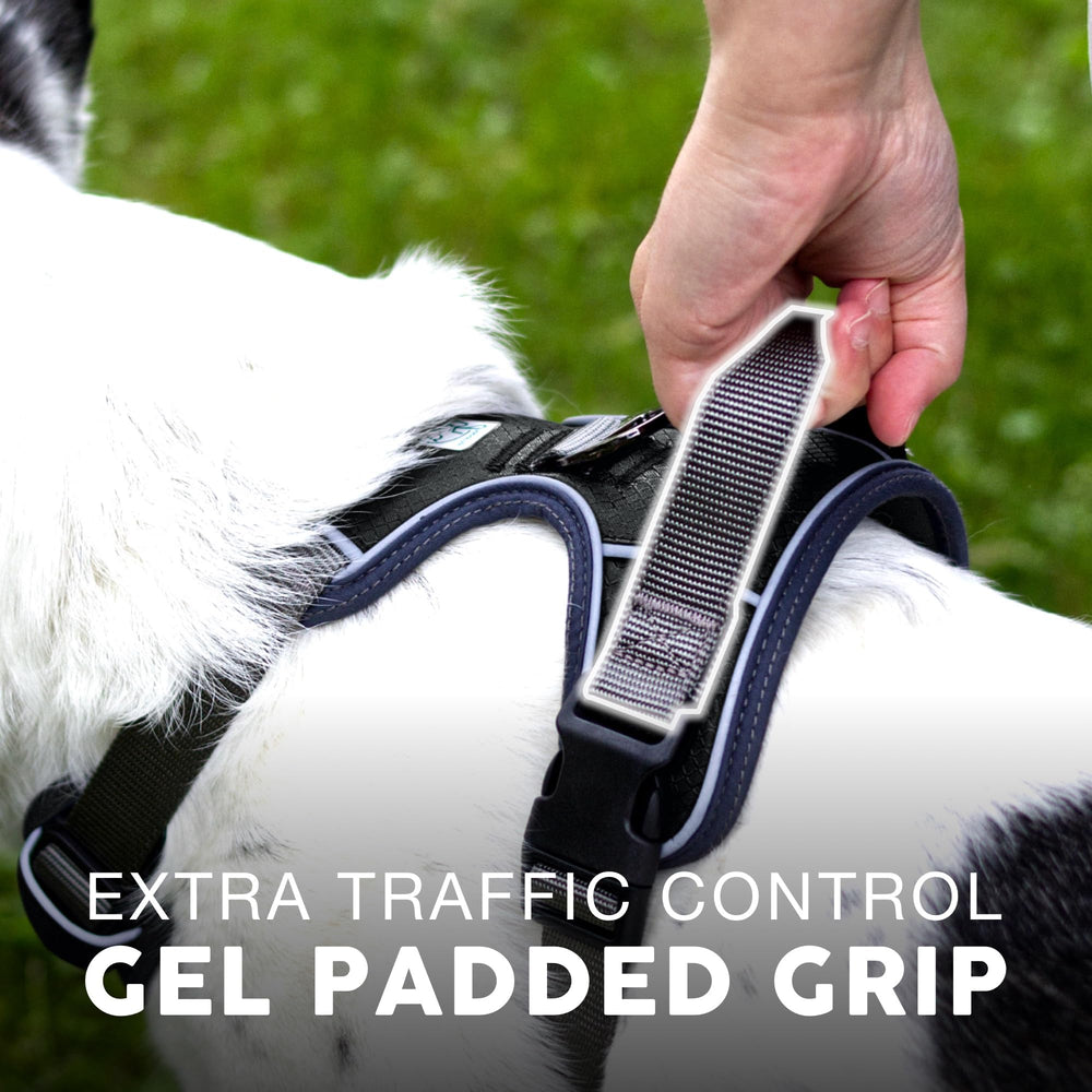 Embark Pets Adventure Harness front clip helps guide a dog's movement for more controlled walks.