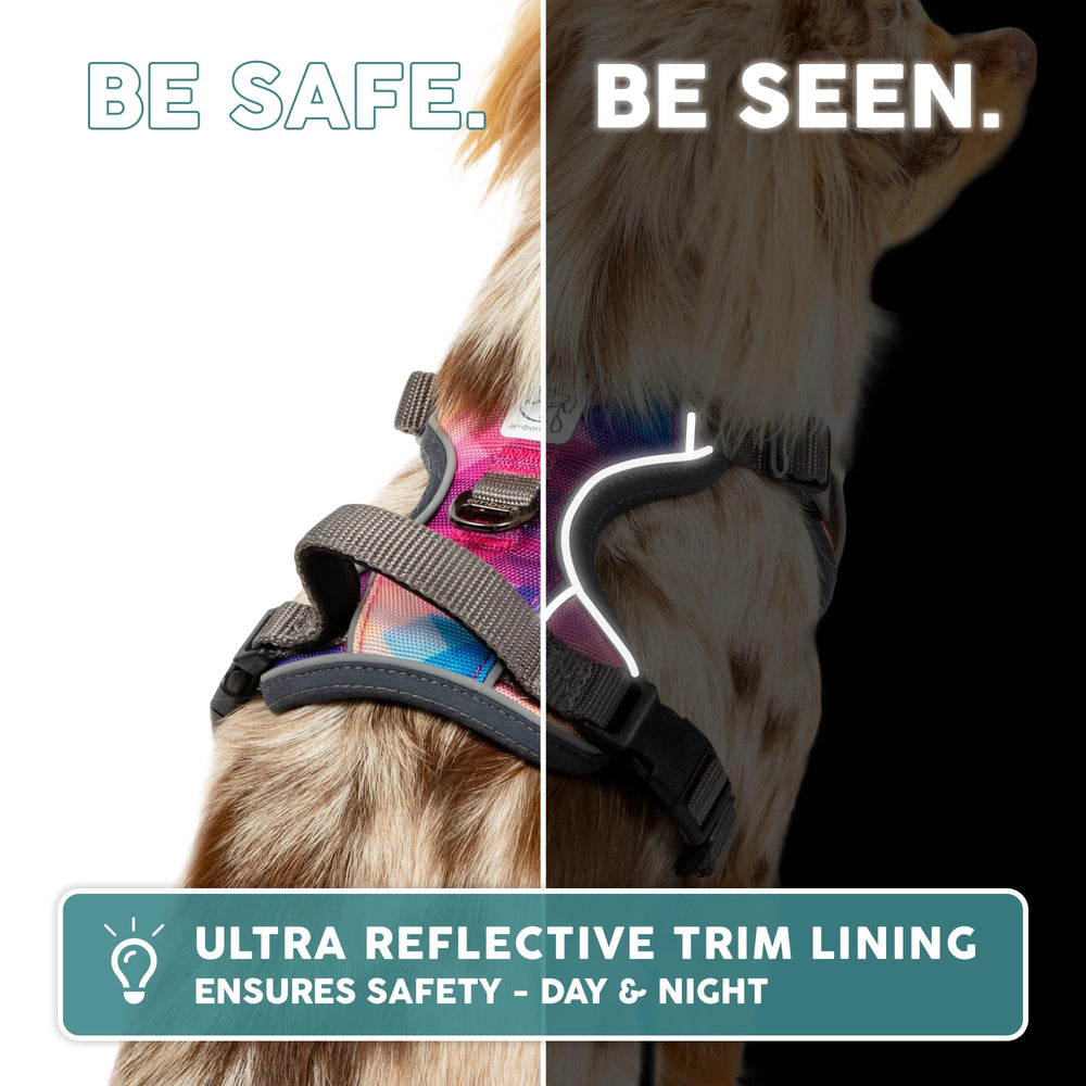 Embark Pets Adventure Harness front D-ring use supports no-pull training