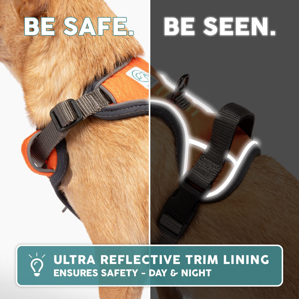 Embark Pets Front D-ring shot reveals training-friendly design to reduce pulling.