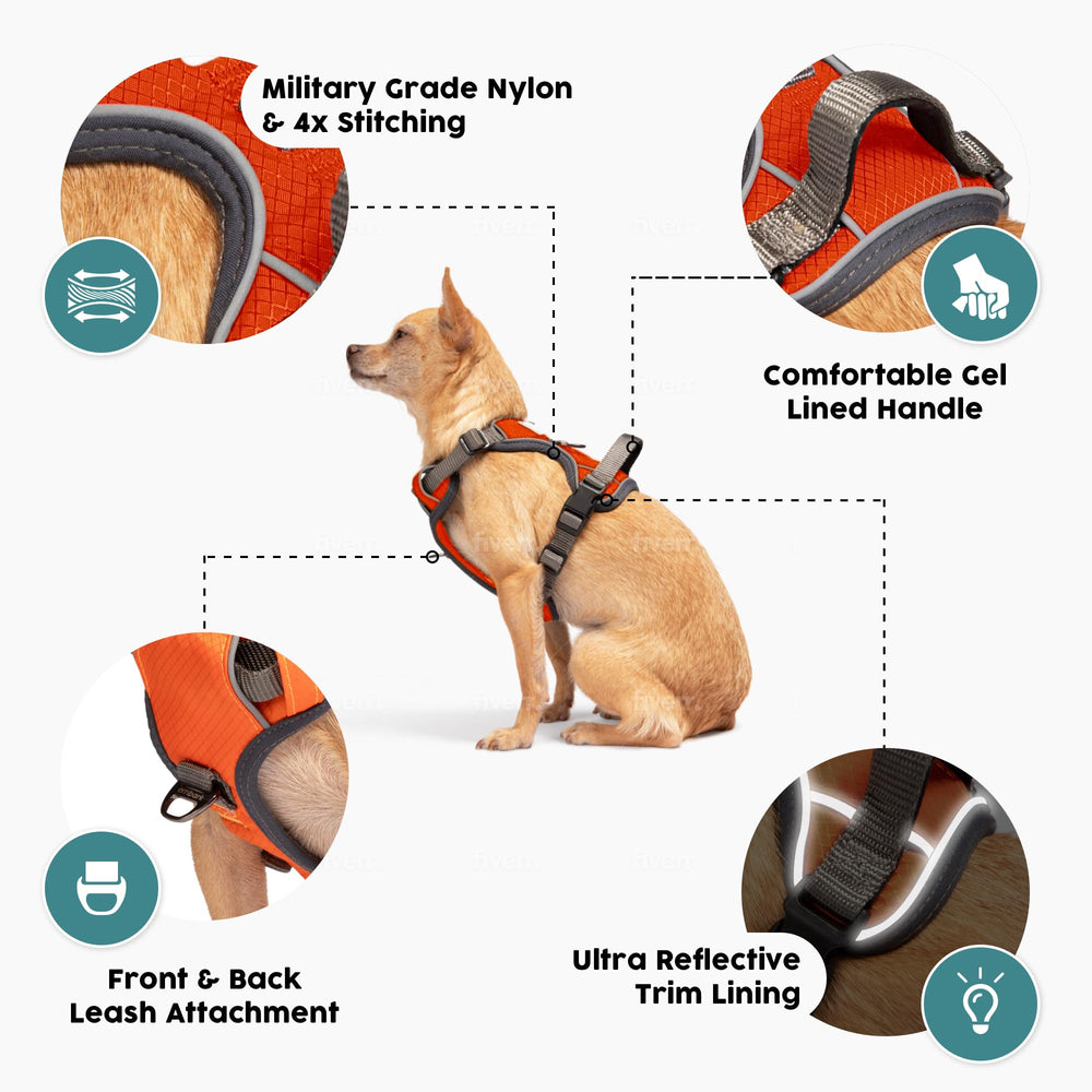 Embark Pets Gel handle closeup demonstrates comfortable grip during steady walking.