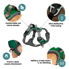 Embark Pets Adventure harness gel-lined handle offers secure grip during handling.