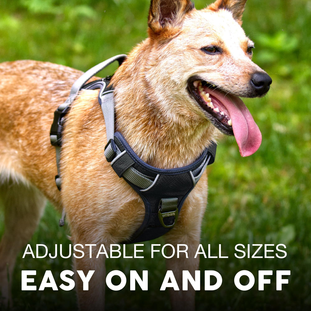 Embark Pets Adventure Harness gel-lined handle offers comfortable hold during lifts.