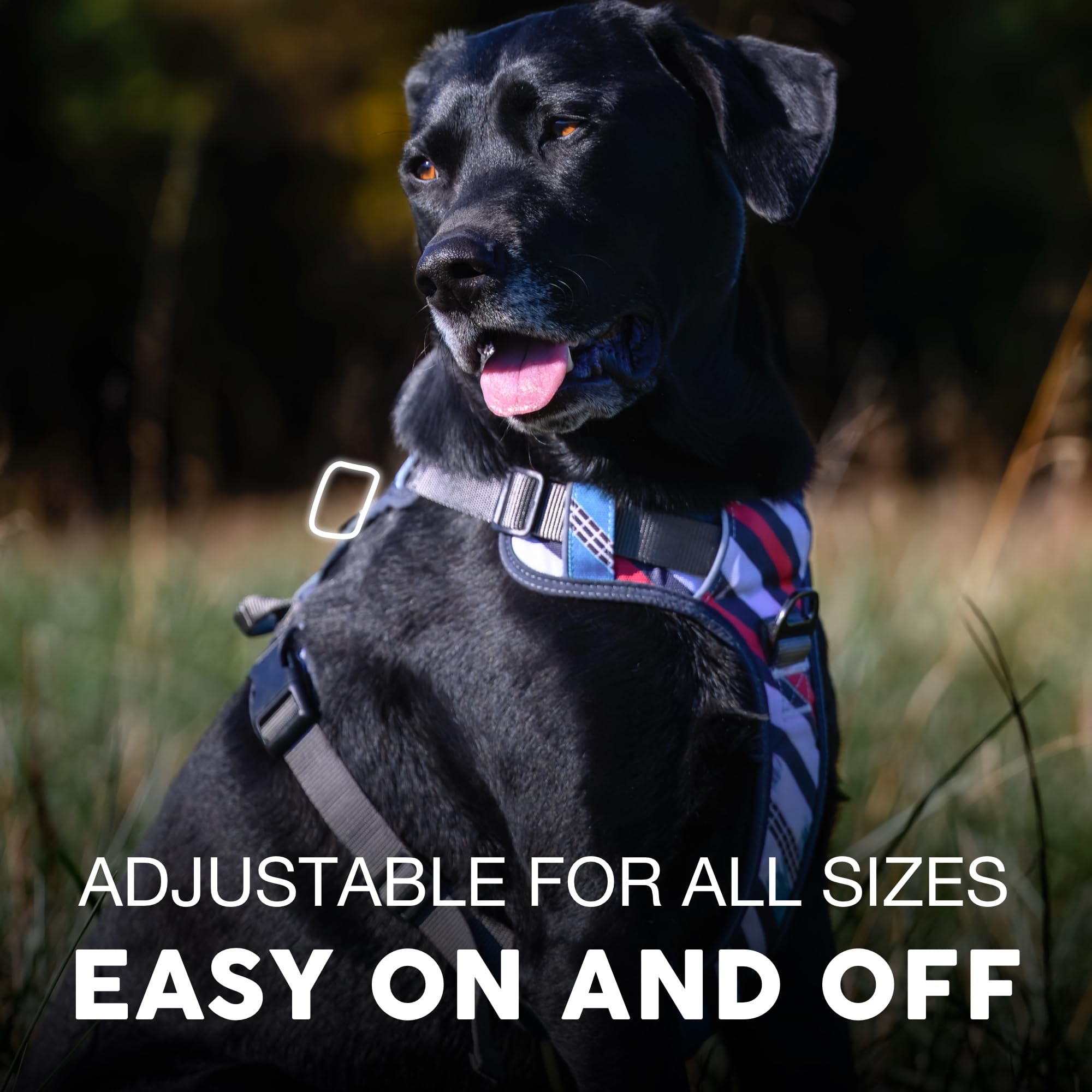 Embark Pets Adventure Harness gel-lined handle; comfortable grip for steady training sessions.