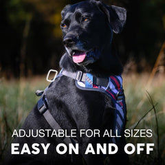 Embark Pets Adventure Harness gel-lined handle; comfortable grip for steady training sessions.