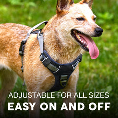 Embark Pets Adventure Harness gel-lined handle offers comfortable hold during lifts.
