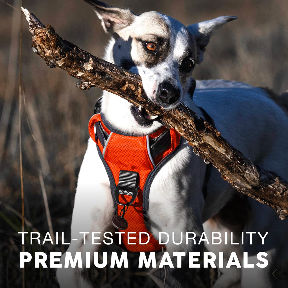 Embark Pets Nylon material focus highlights durable construction for strong, active dogs.