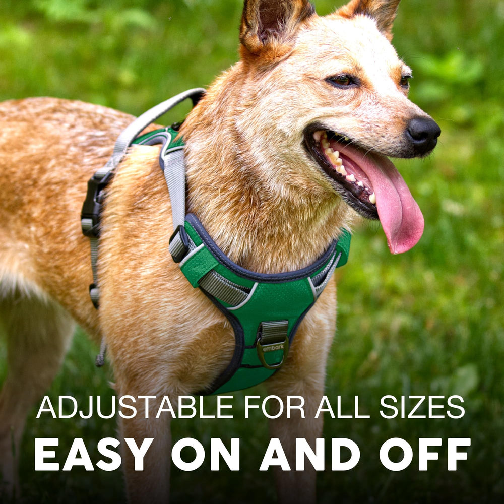 Embark Pets Adventure harness reflective trim increases visibility at night.