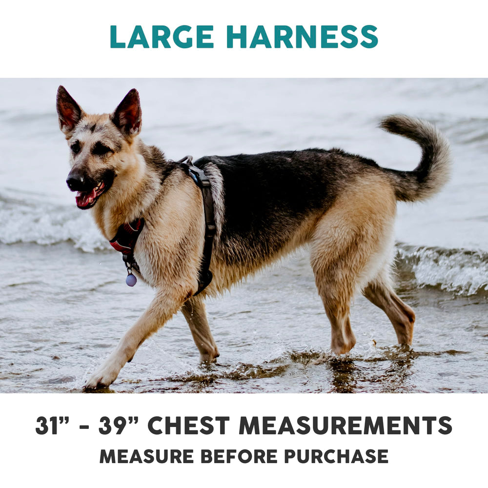 Embark Pets Adventure Harness reflective trim for high visibility