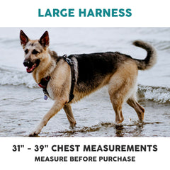 Embark Pets Adventure Harness reflective trim for high visibility