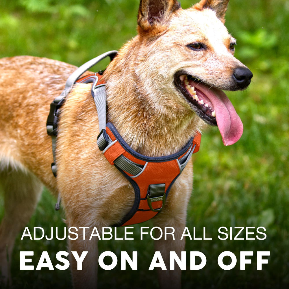Embark Pets Reflective trim closeup emphasizes high visibility for safe nighttime strolls.