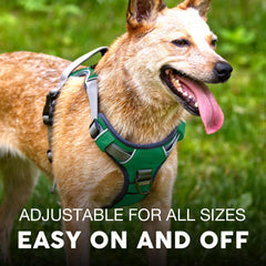 Embark Pets Adventure harness reflective trim increases visibility at night.