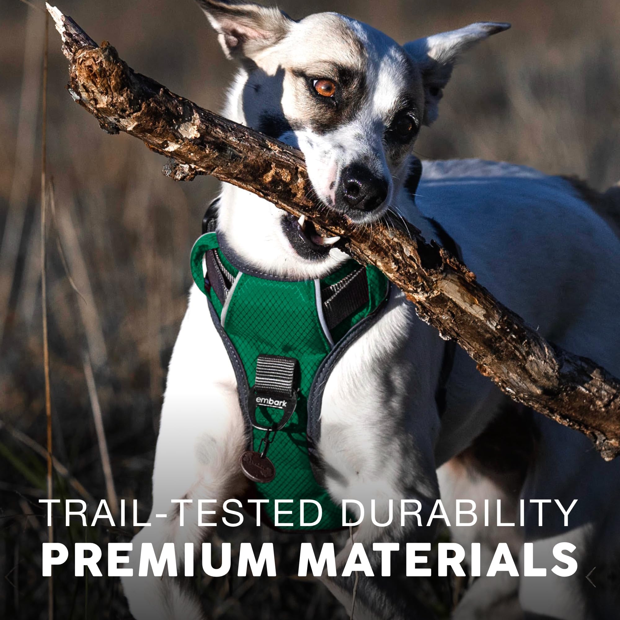 Embark Pets Adventure harness size chart helps you find the right fit.