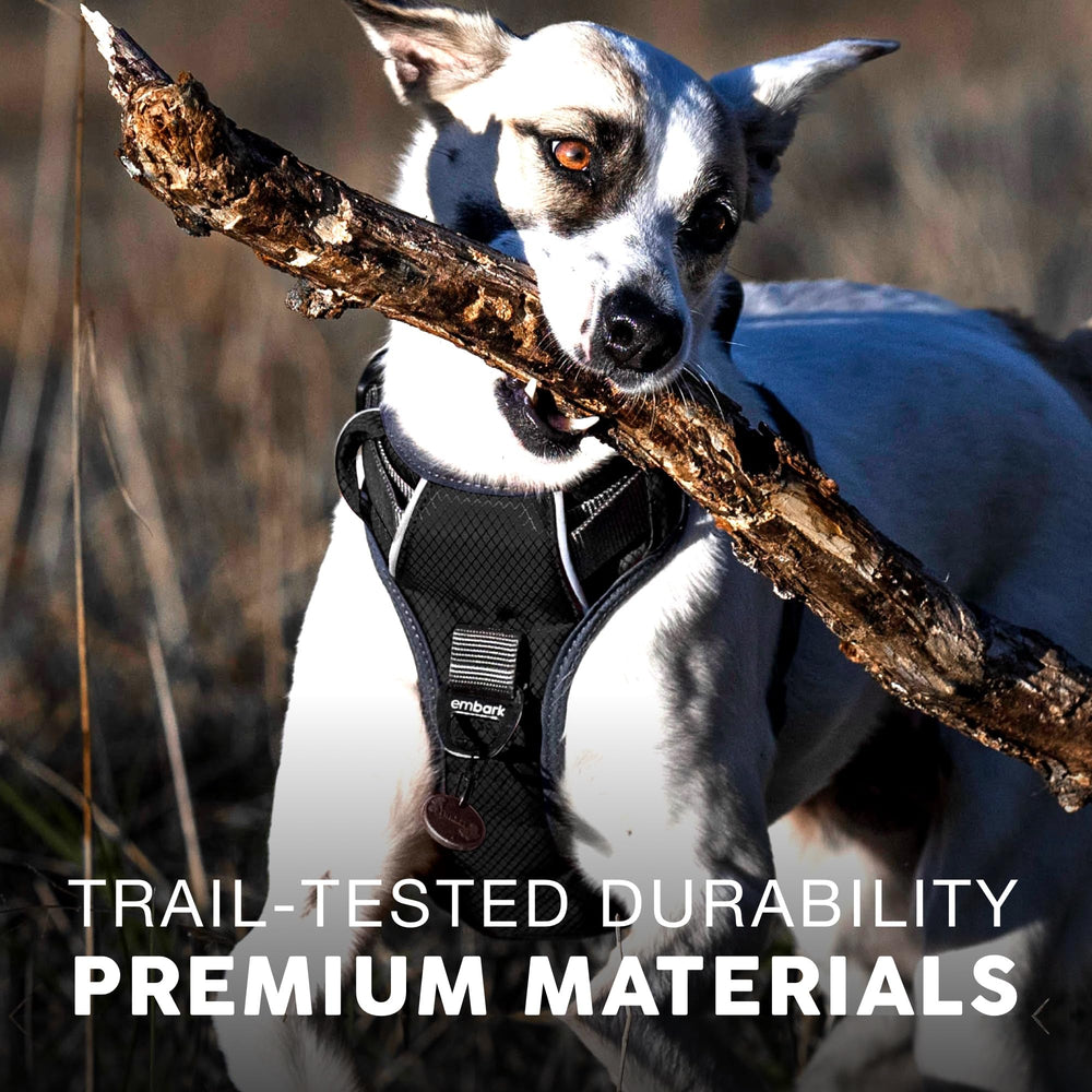 Embark Pets Adventure Harness soft padded chest area cushions contact during long walks.