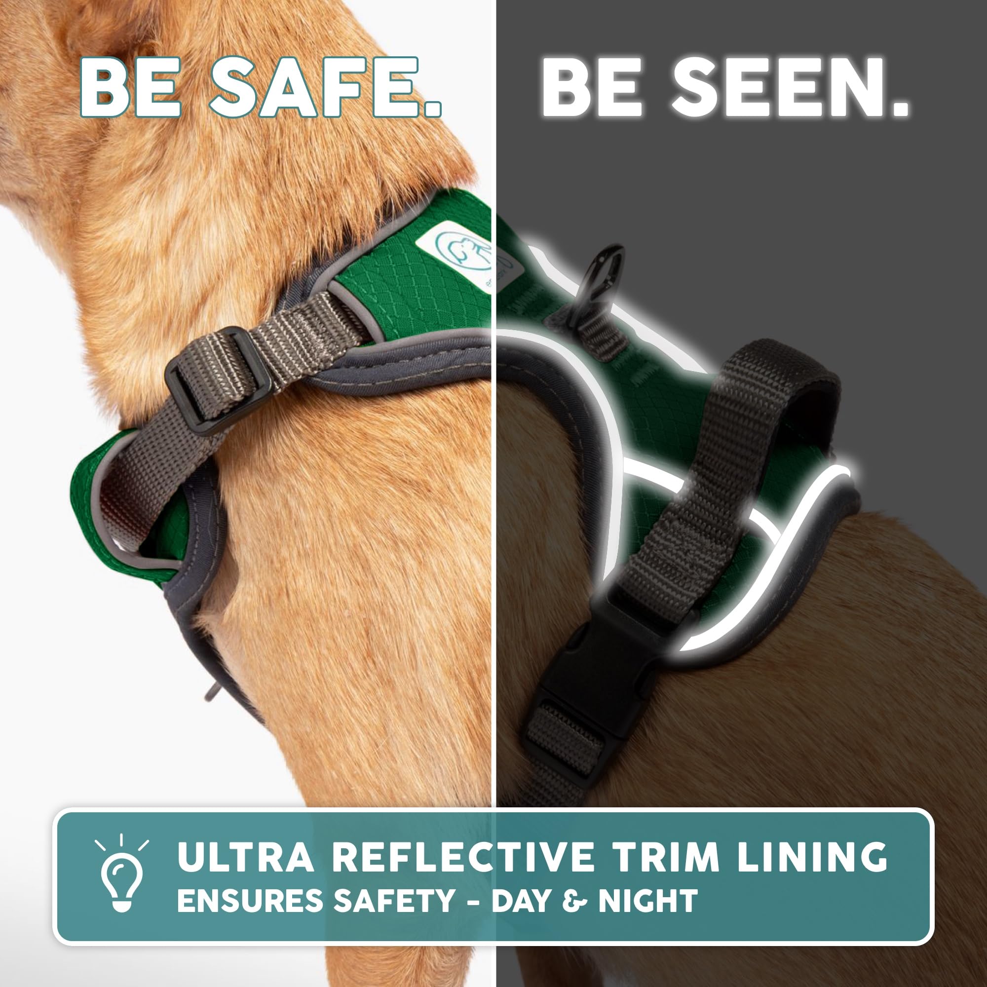 Embark Pets Adventure harness soft padding prevents rubbing for comfortable walks.