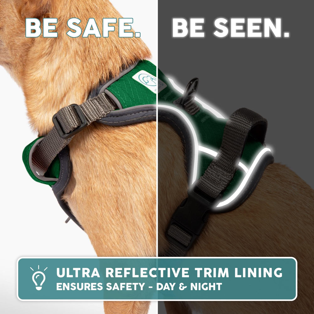 Embark Pets Adventure harness soft padding prevents rubbing for comfortable walks.