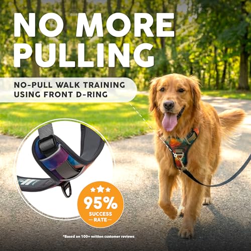 Embark Pets Adventure No-Pull Harness back clip for versatile leash options.