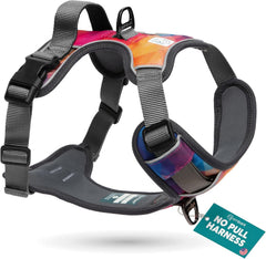 Embark Pets Adventure No-Pull Harness front clip supports easier control during walks.