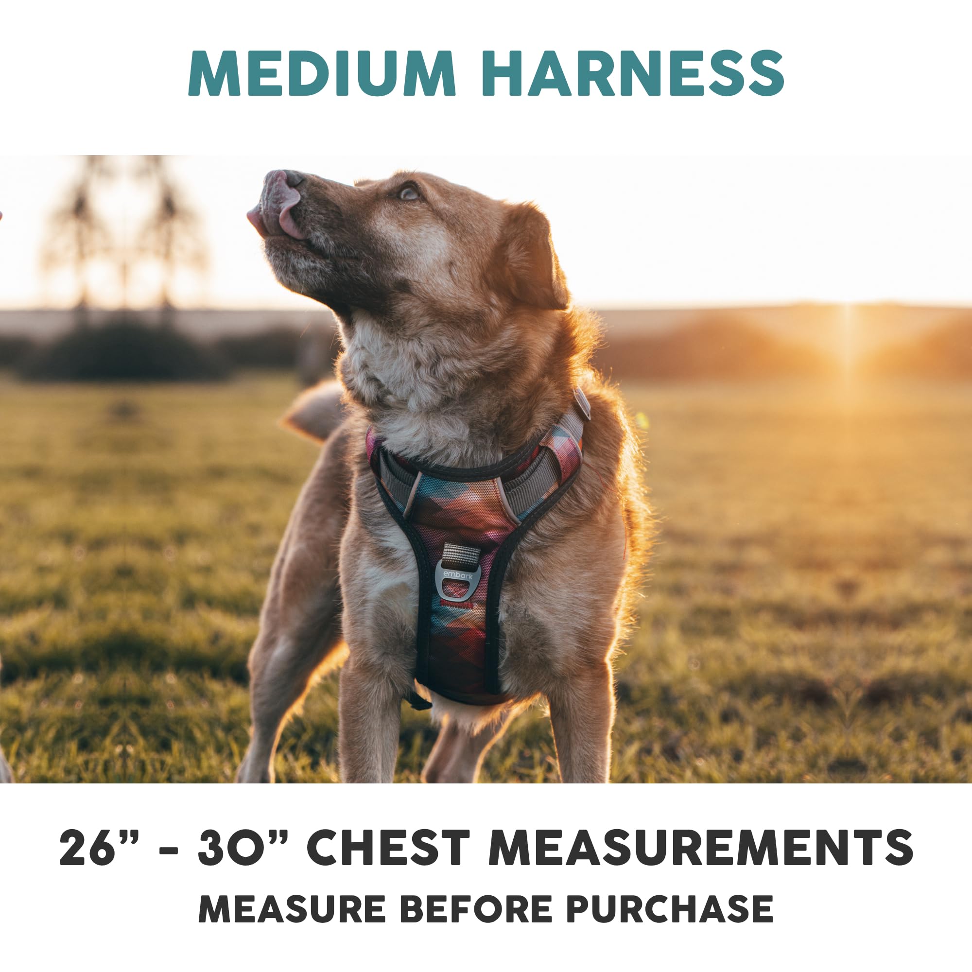 Embark Pets Adventure Reflective Trim enhances visibility during low-light strolls.