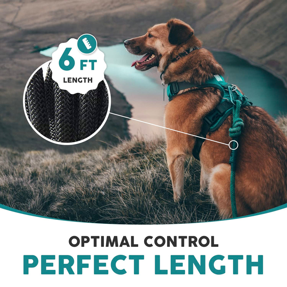 Embark Pets Adventure Pro Leash carabiner close-up demonstrates secure attachment for powerful dogs.