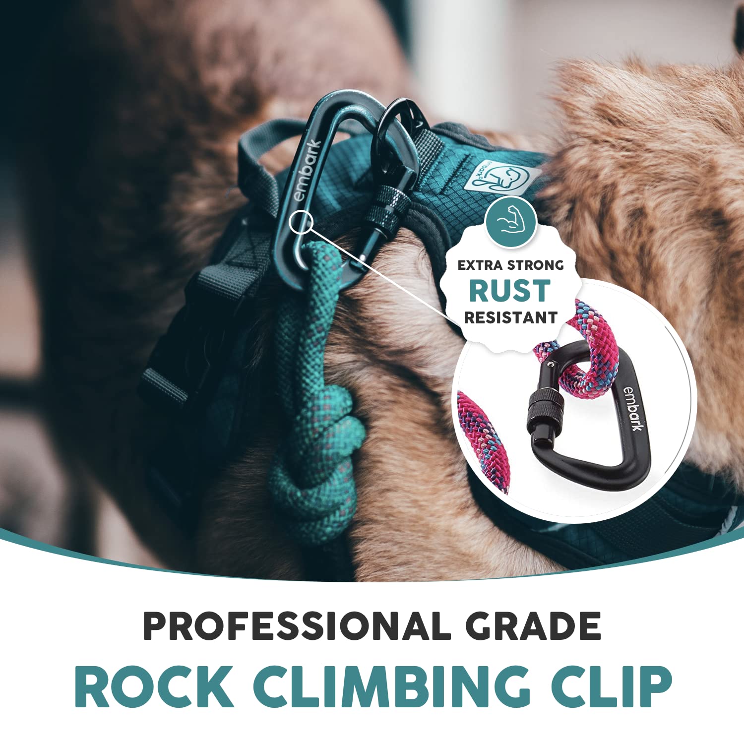 Embark Pets Adventure Pro leash in use with large dog demonstrates trusted durability on rugged terrain.
