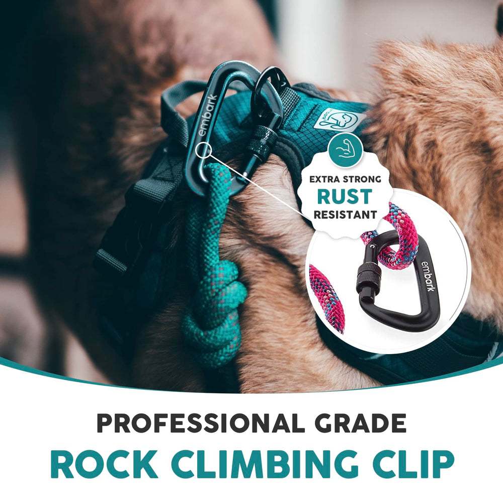 Embark Pets Adventure Pro leash in use with large dog demonstrates trusted durability on rugged terrain.