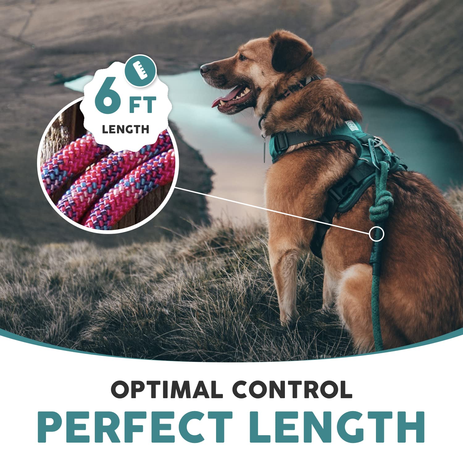 Embark Pets Adventure Pro packaging shows gear-ready leash with usage guidance.