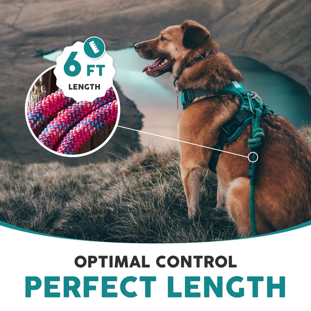 Embark Pets Adventure Pro packaging shows gear-ready leash with usage guidance.