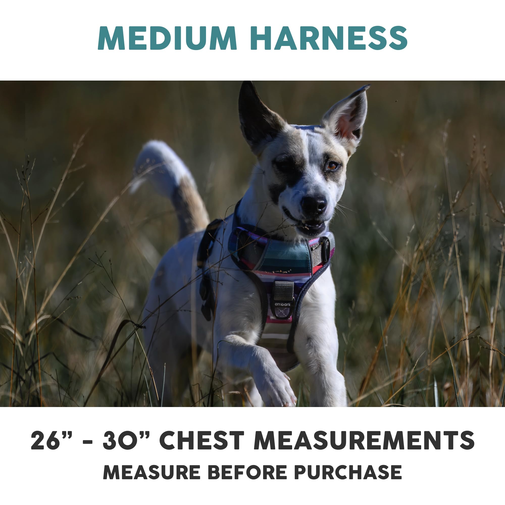 Embark Pets Embark Adventure Harness back attachment creates versatile leash options for training.
