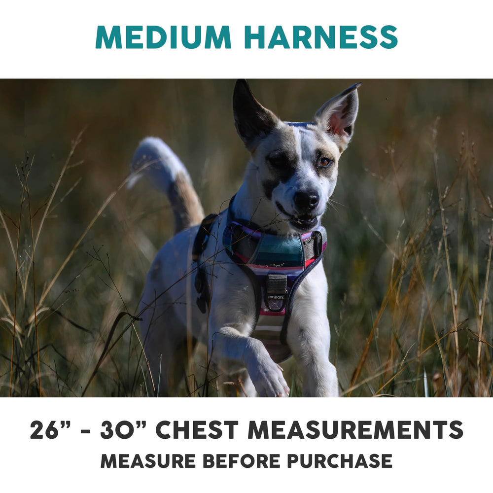 Embark Pets Embark Adventure Harness back attachment creates versatile leash options for training.