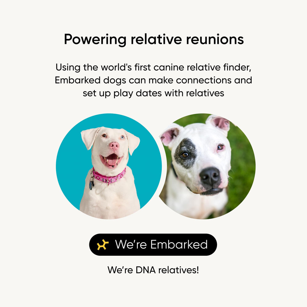 Embark Relative Finder graphic showing relatives connect for deeper canine family trees