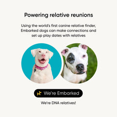 Embark Relative Finder graphic showing relatives connect for deeper canine family trees