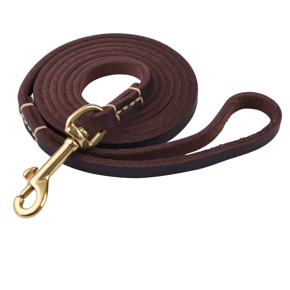 EMICUTE leather dog leash with genuine strap for comfortable daily walks