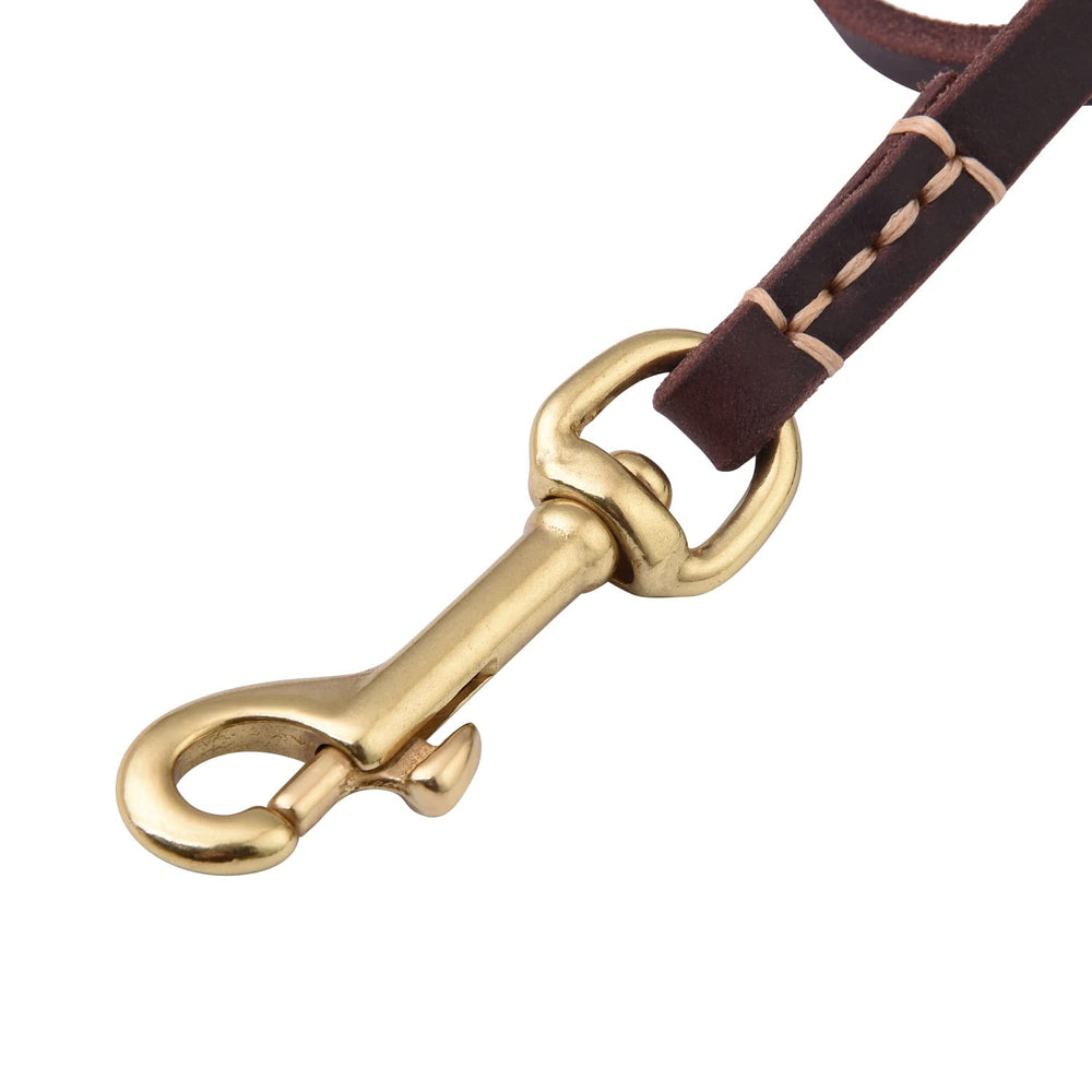 EMICUTE dog leash used as traffic leash for safer street walks