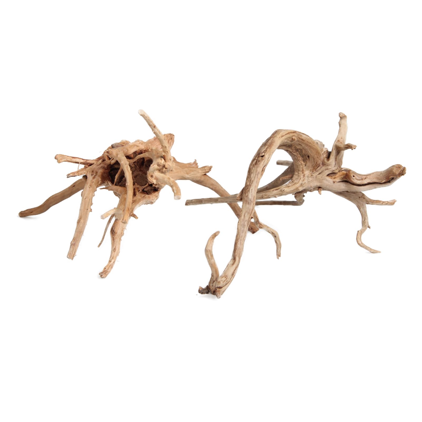 emours driftwood branches close-up texture highlights natural grain for terrarium accents