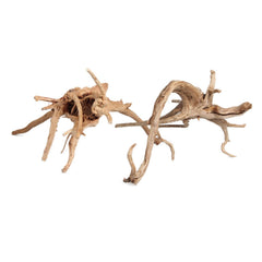 emours driftwood branches close-up texture highlights natural grain for terrarium accents