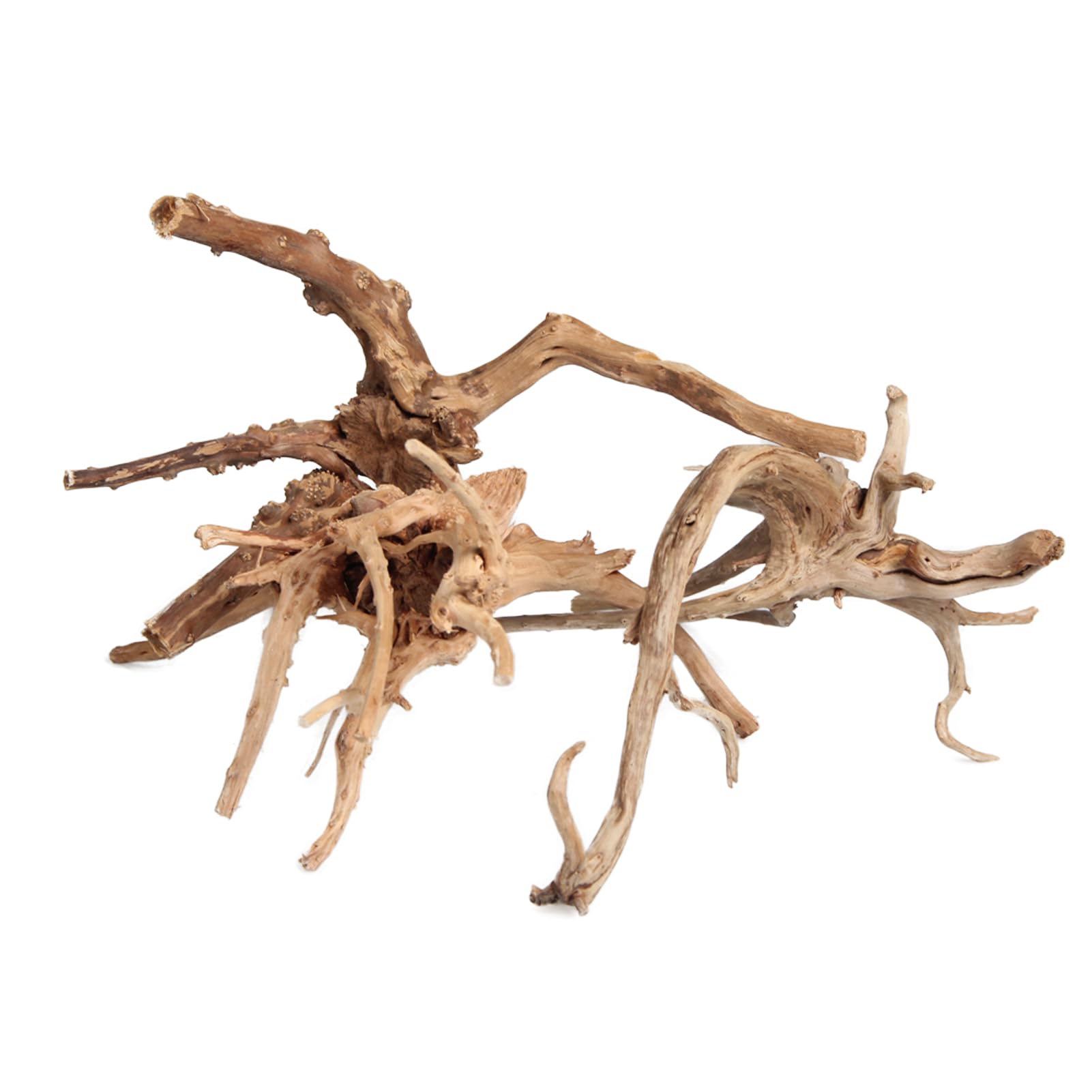 emours driftwood branches spider wood arrangement ideal for moss trees and tank landscaping