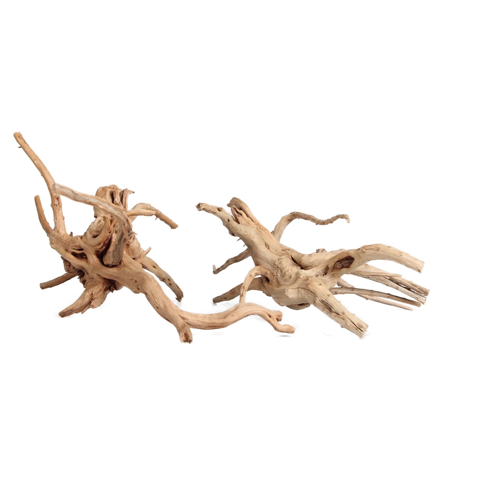 emours driftwood network of natural shapes creates focal points in aquariums