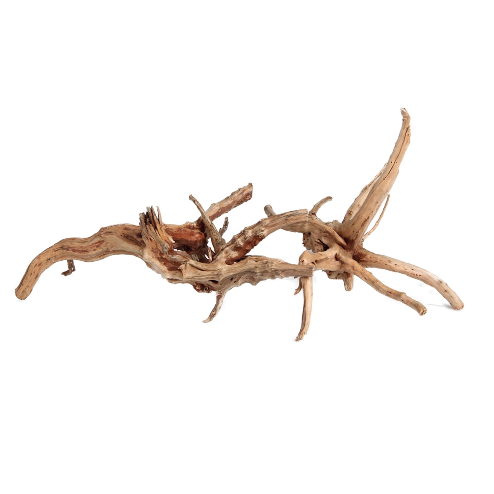 emours spider wood set four pieces for versatile tank layouts