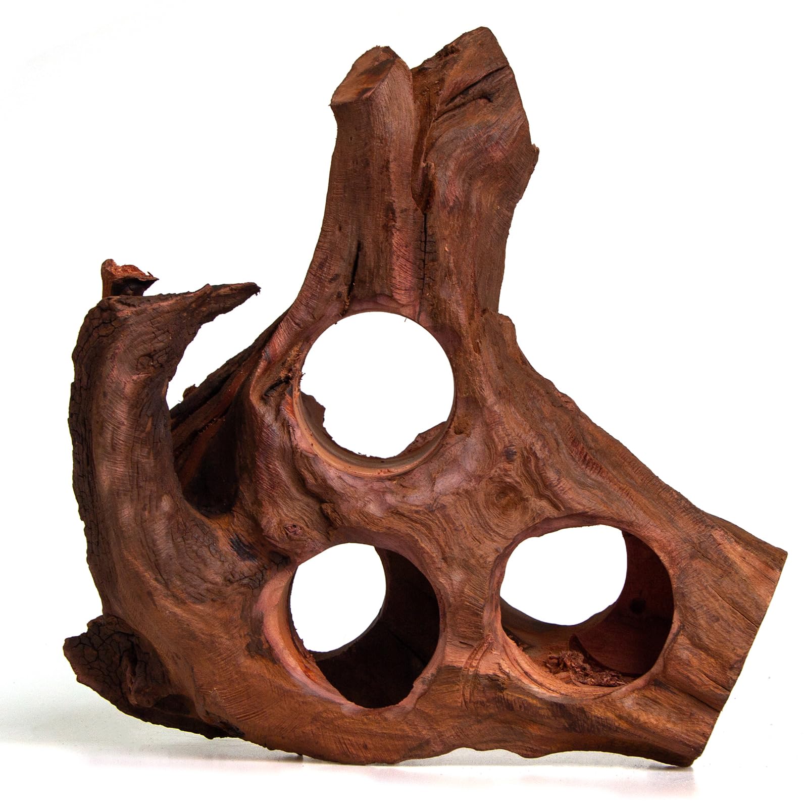 emours driftwood tannins may tint water during soak